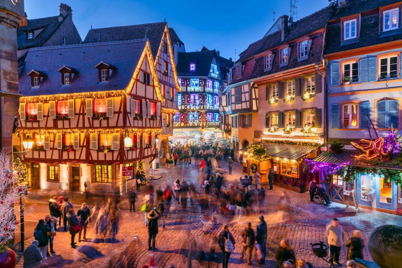 Le Petit Chataignier - Cozy Immo Châtenois エクステリア 写真