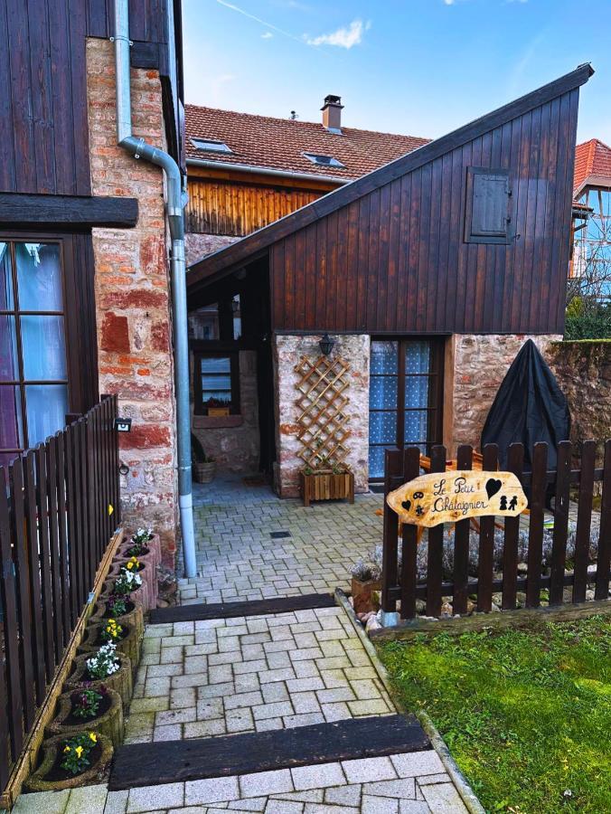 Le Petit Chataignier - Cozy Immo Châtenois エクステリア 写真