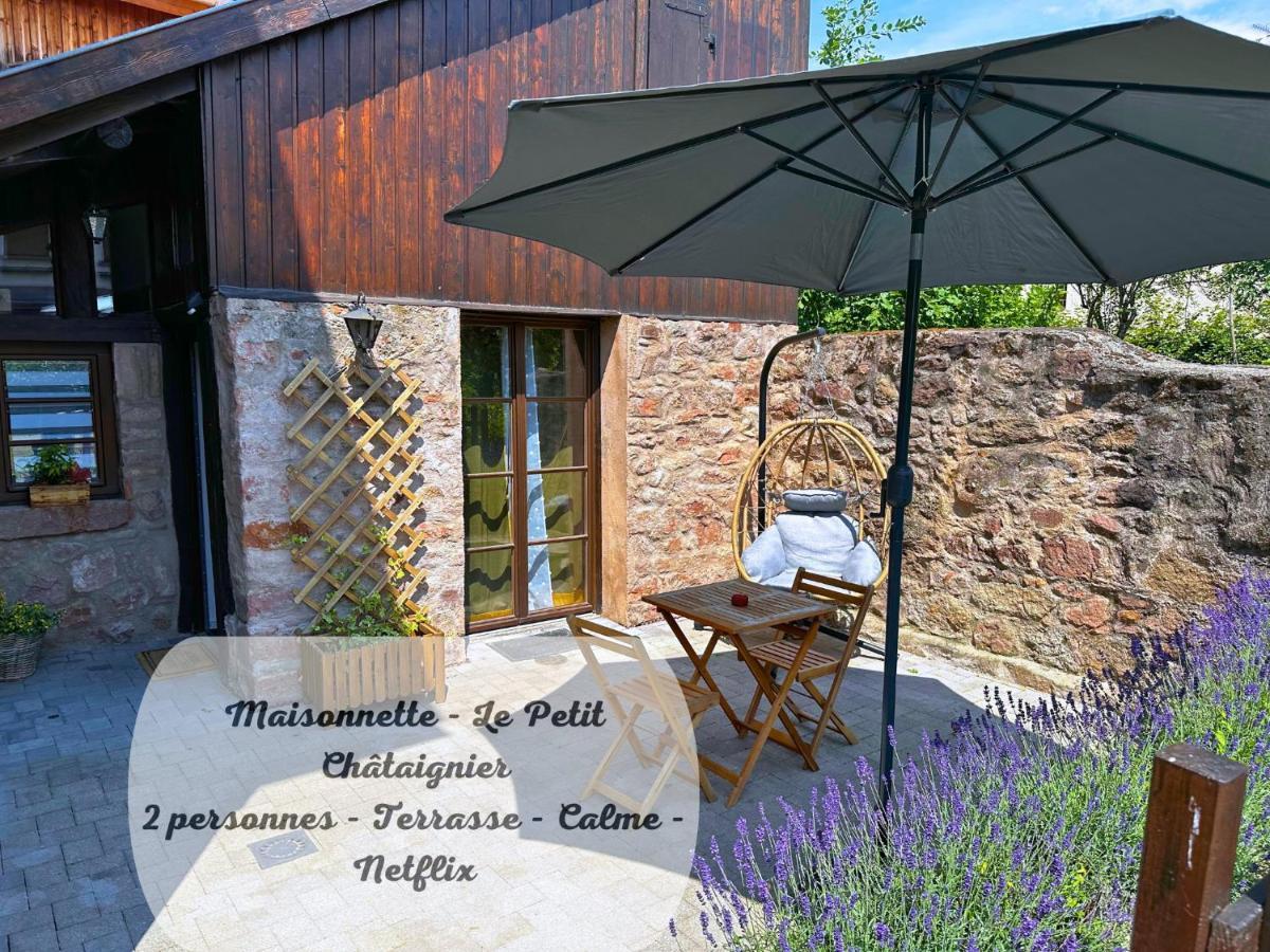Le Petit Chataignier - Cozy Immo Châtenois エクステリア 写真